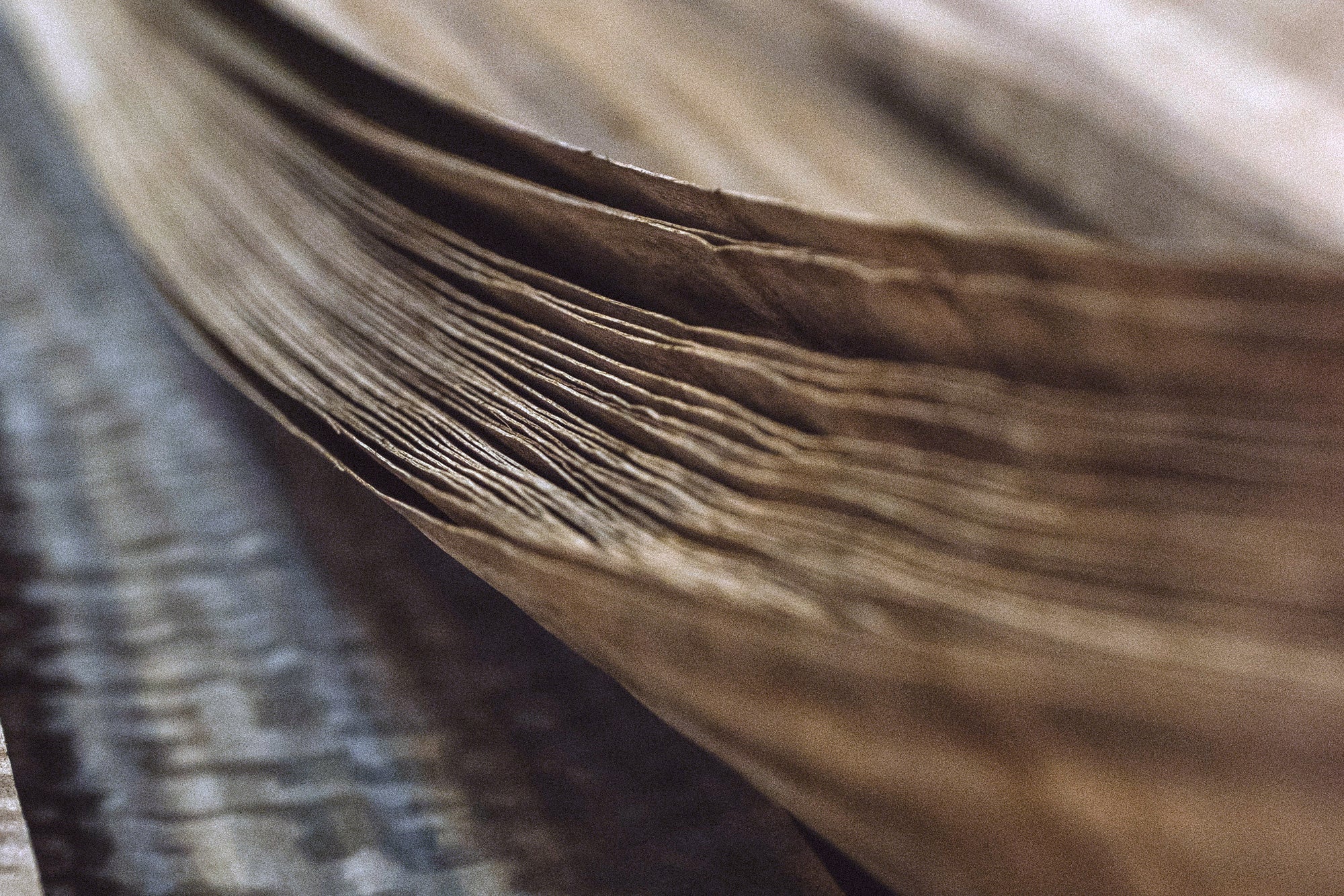 picture alternative text