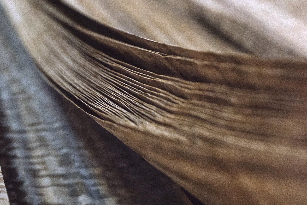 picture alternative text