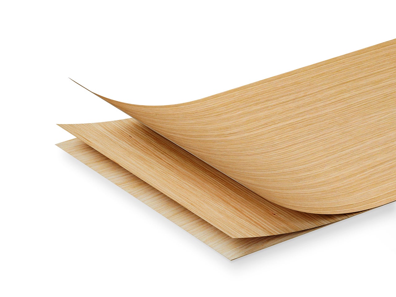 picture alternative text