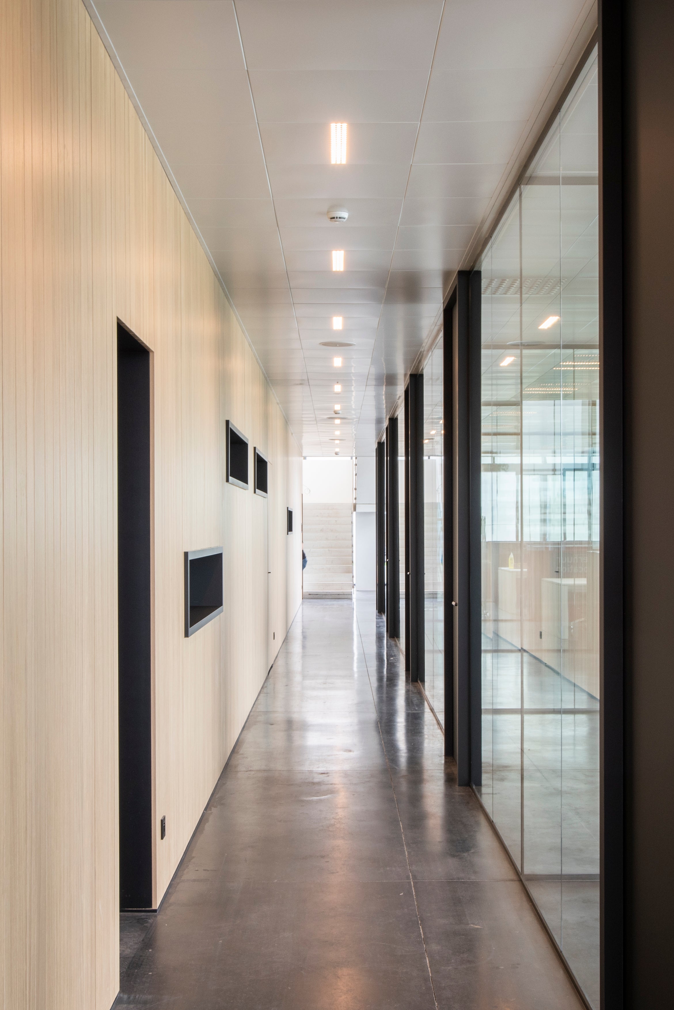 picture alternative text