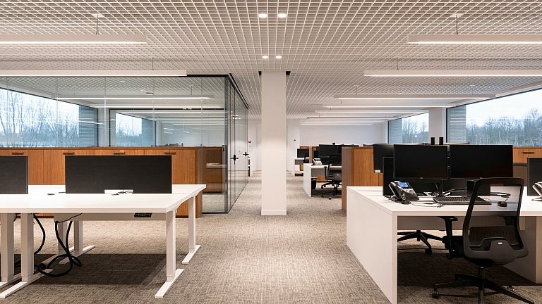 picture alternative text