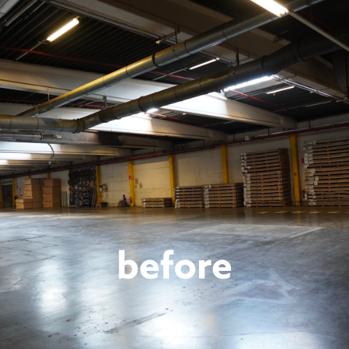 picture alternative text