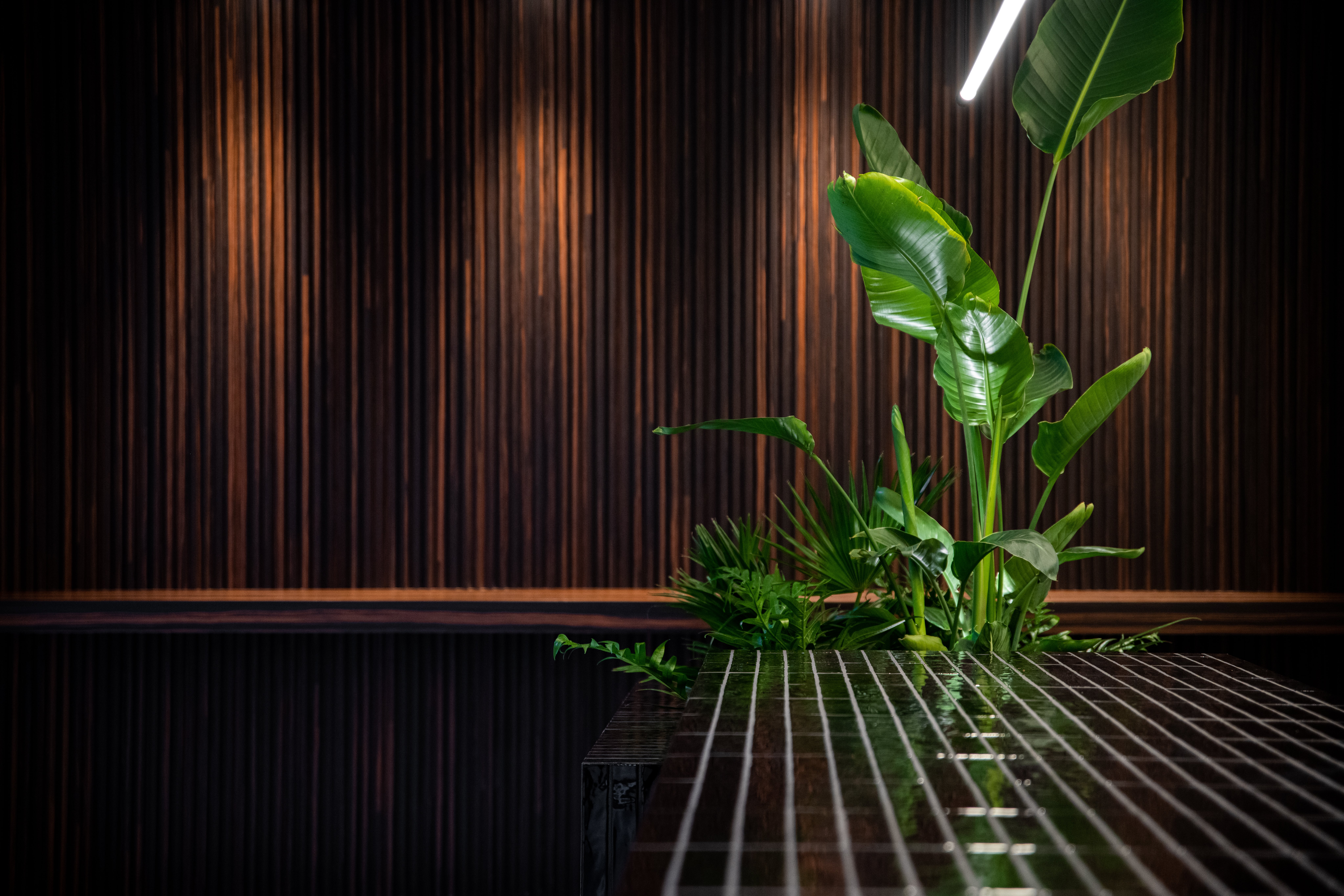 picture alternative text