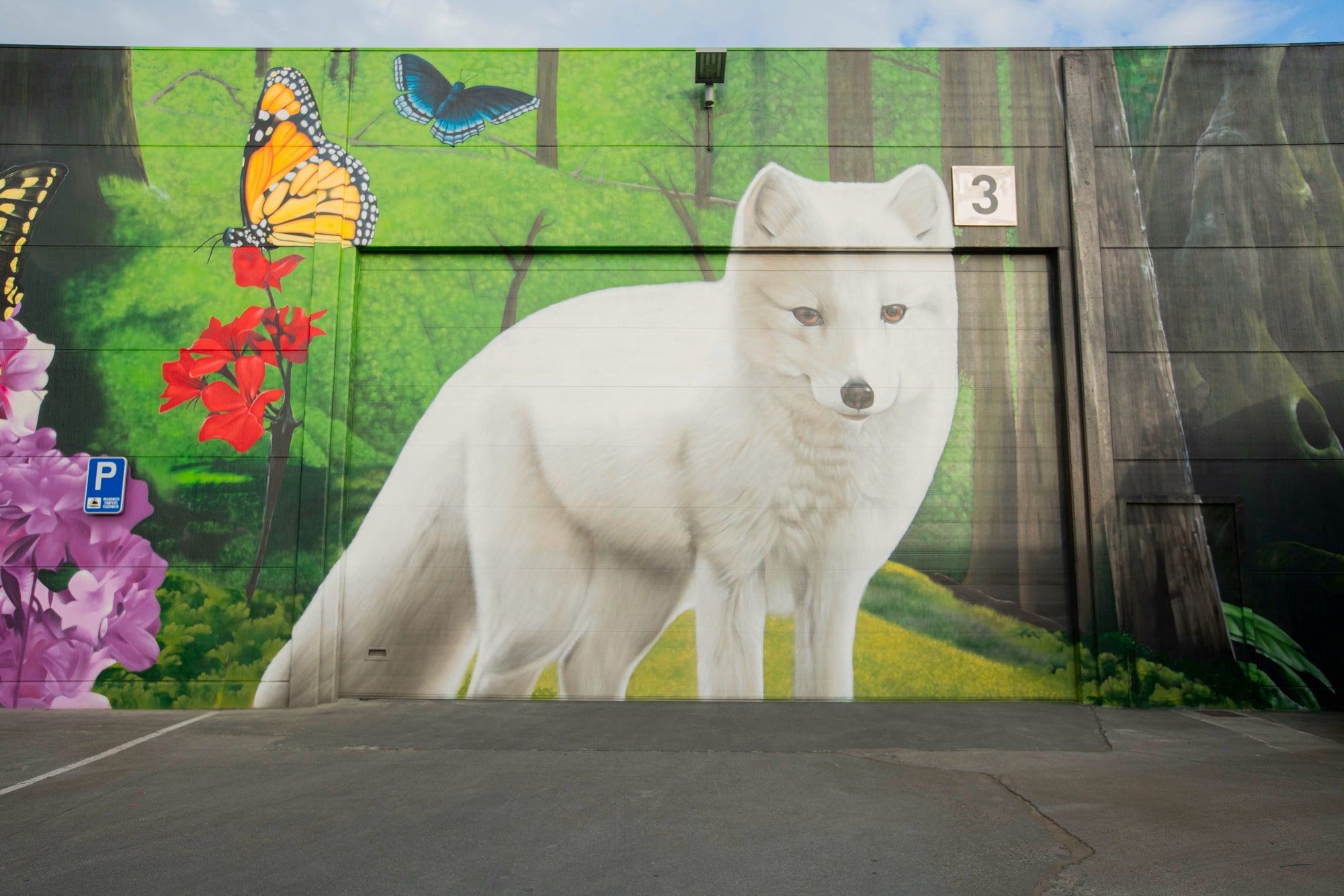 picture alternative text