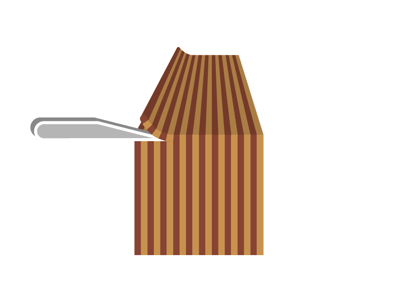 picture alternative text