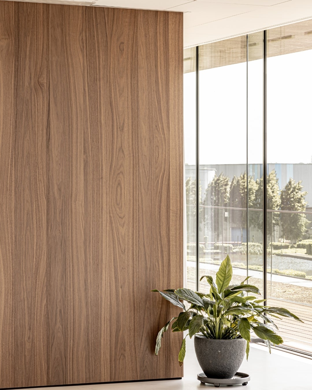 Shinnoki Frozen Walnut wood veneer panels - office - MLS headquarters