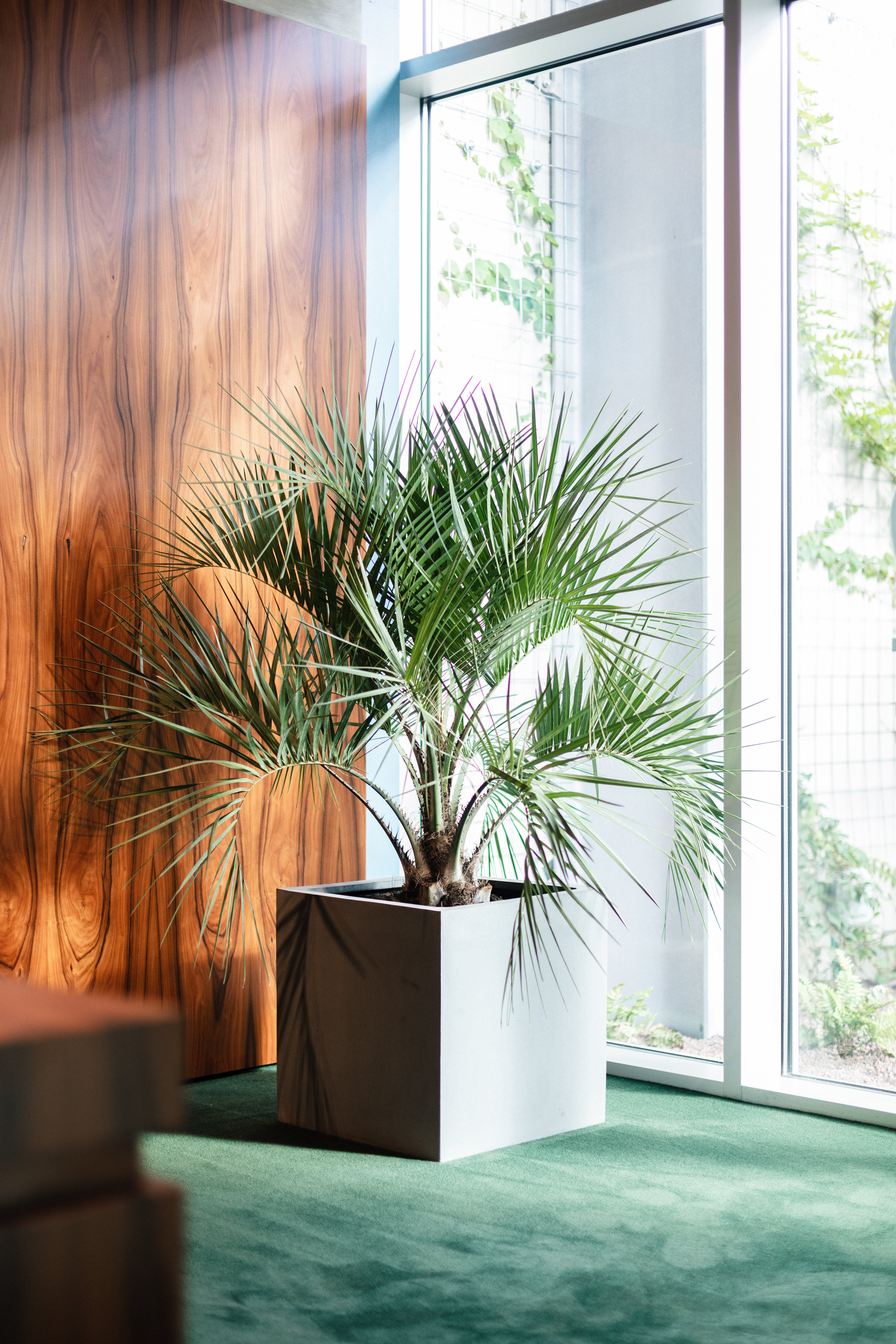 picture alternative text