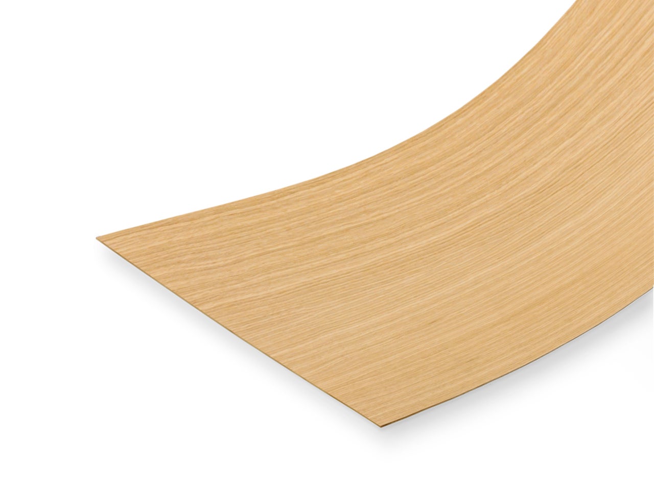 picture alternative text