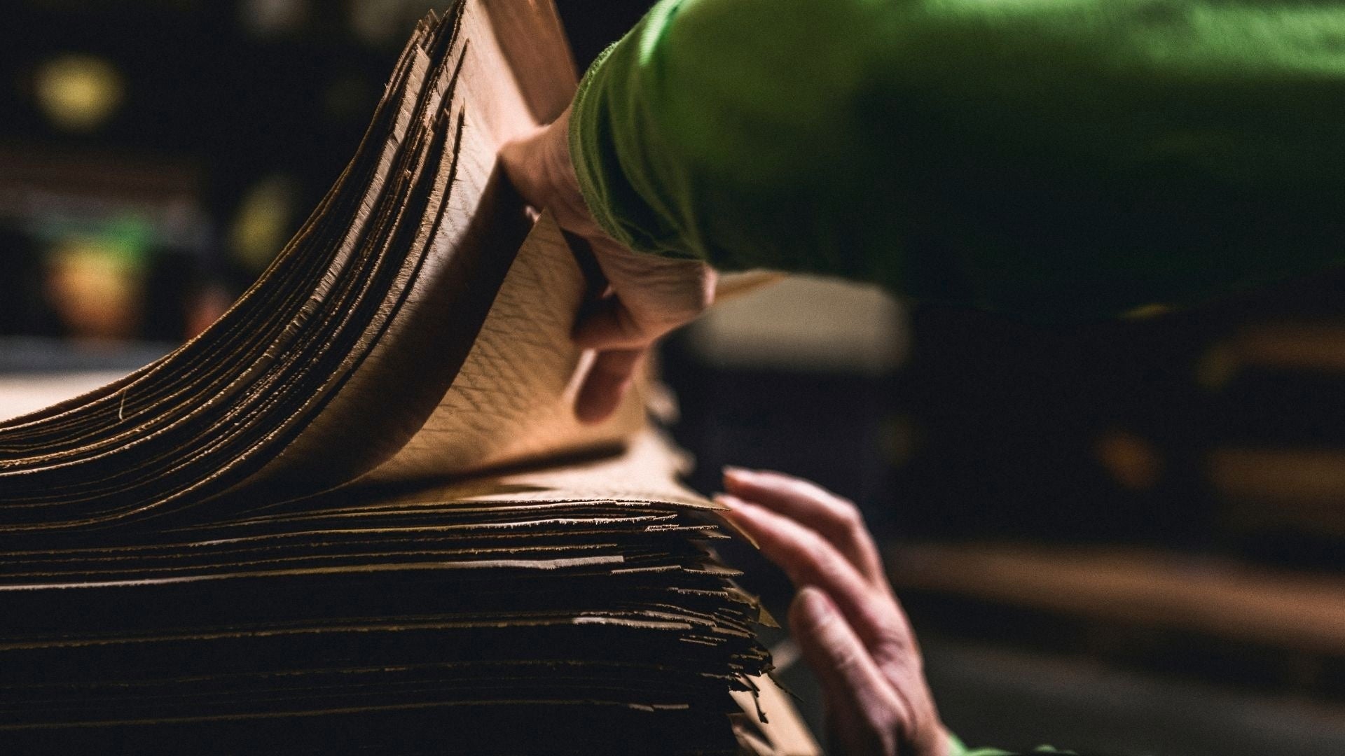 picture alternative text