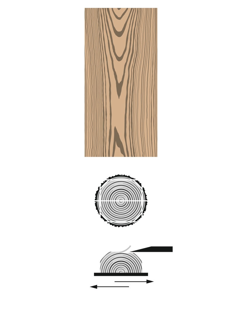 picture alternative text