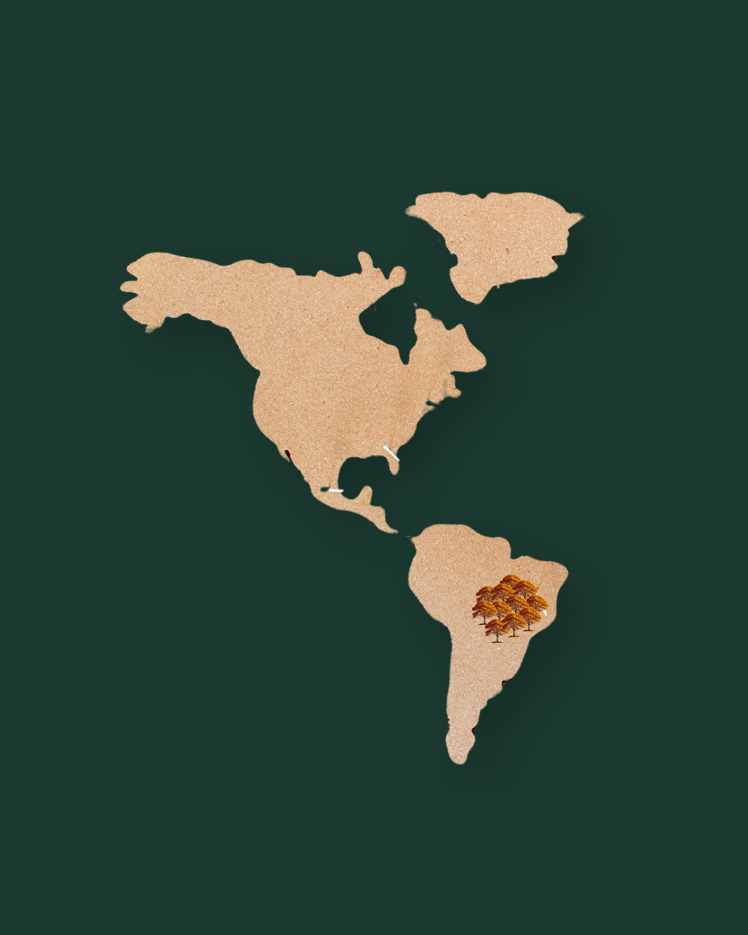 Carte mondiale montrant le lieu de croissance de l'Ipe, également connu sous le nom de Noyer Brésilien.
