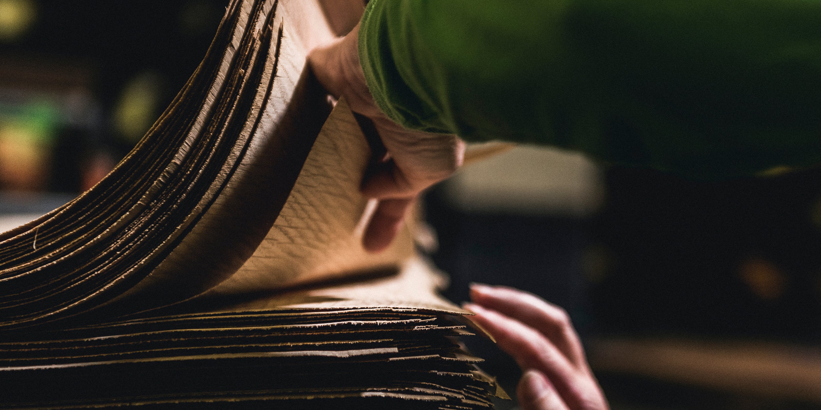 picture alternative text