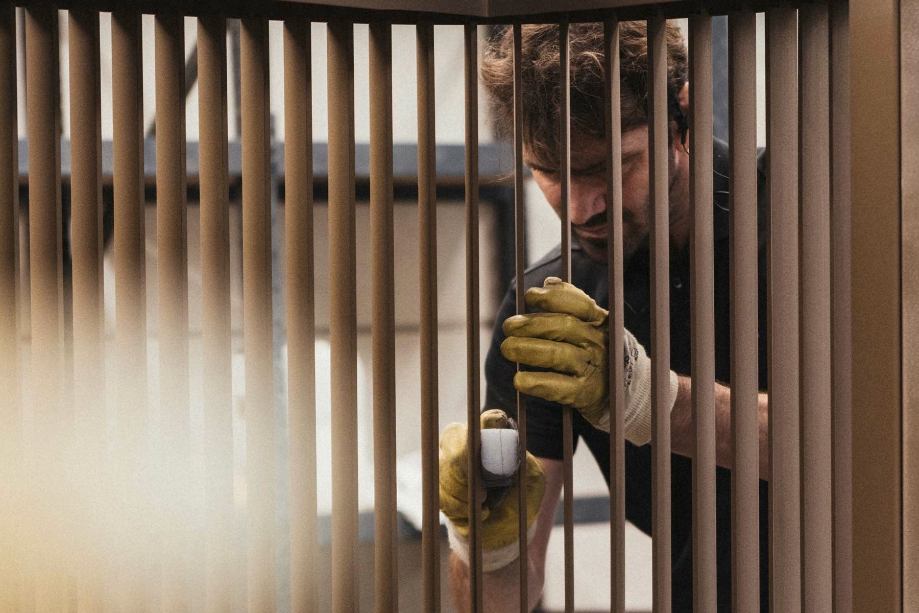 picture alternative text