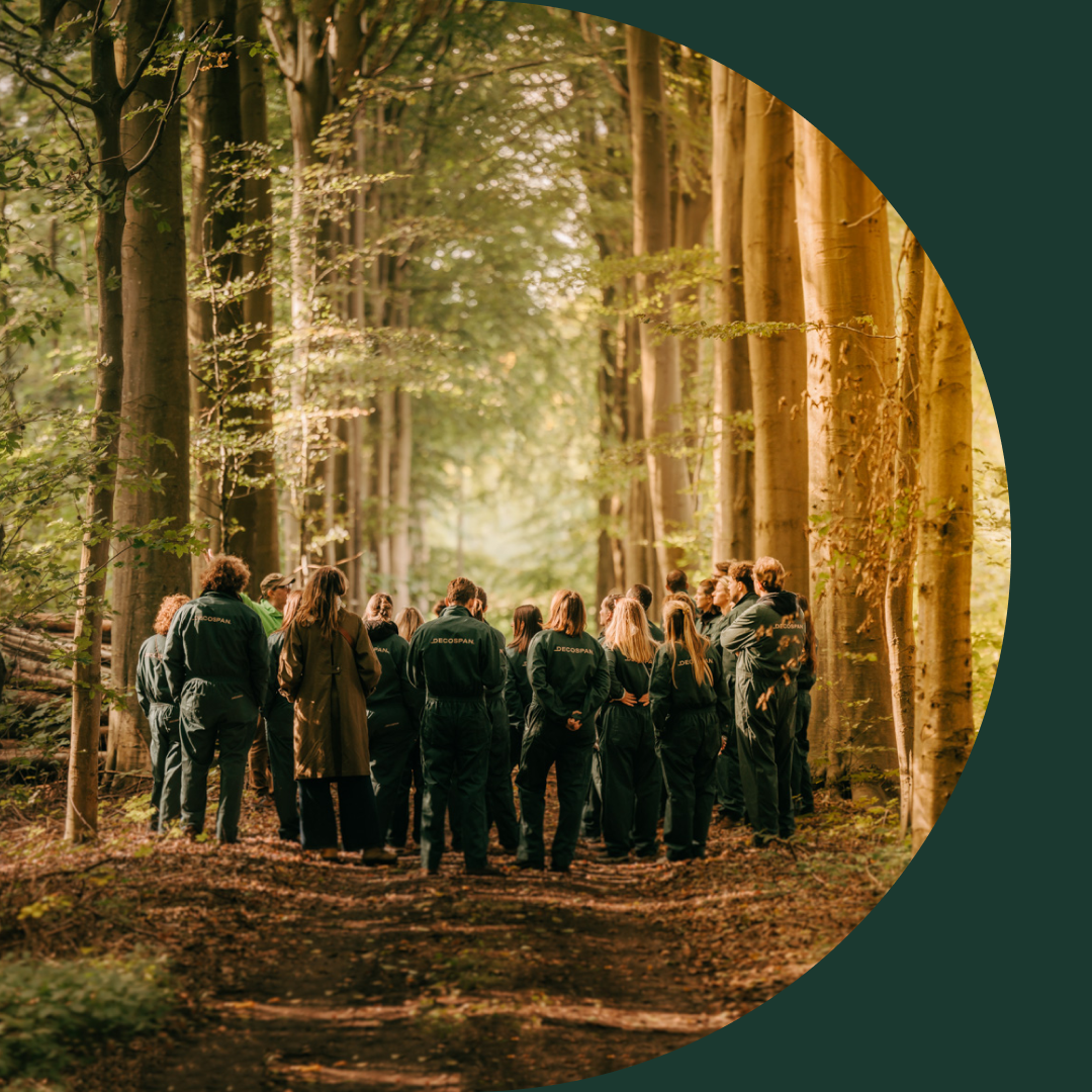 Decospan - duurzaamheidsverslag - forest banner