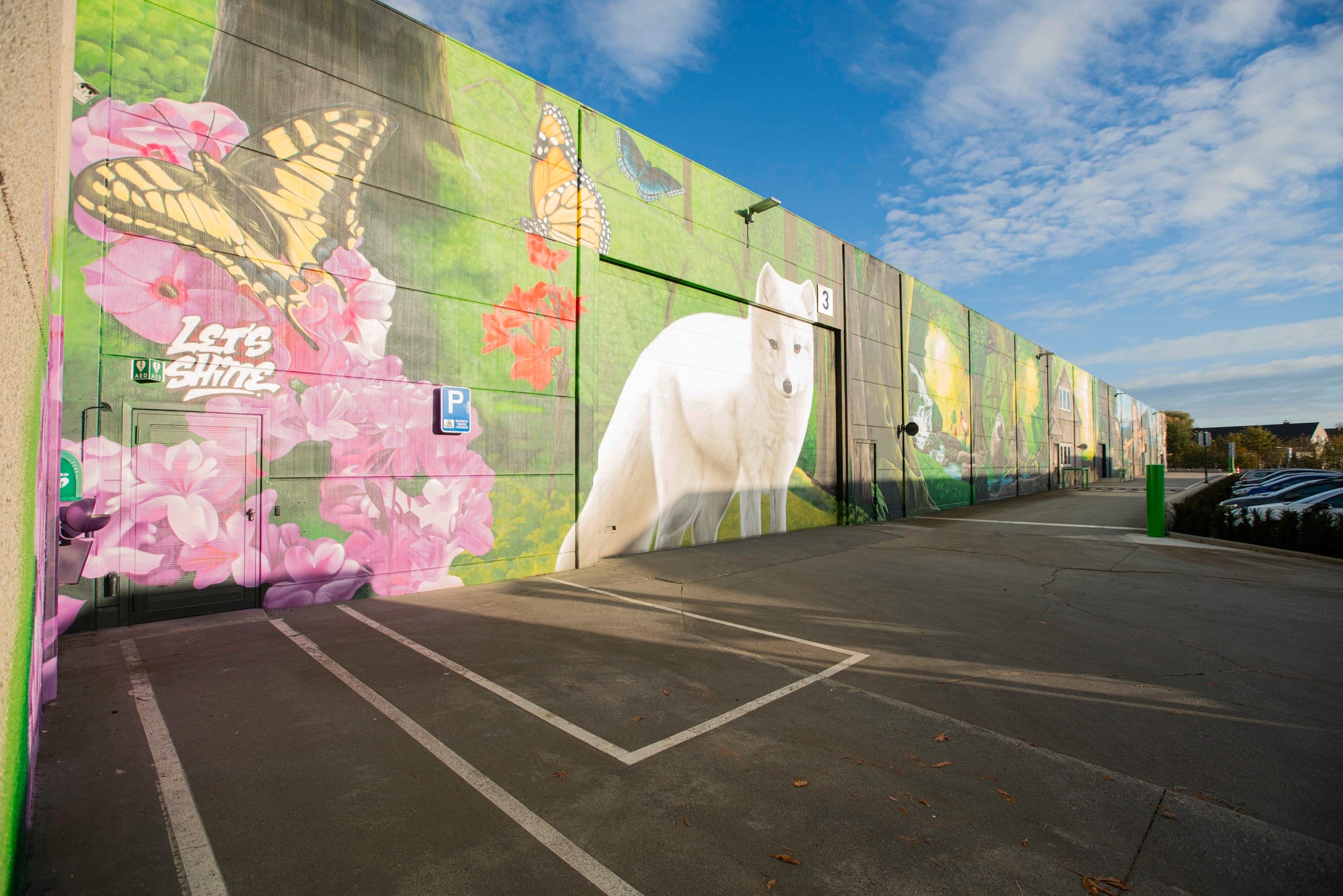 wall painting - wall painting nature