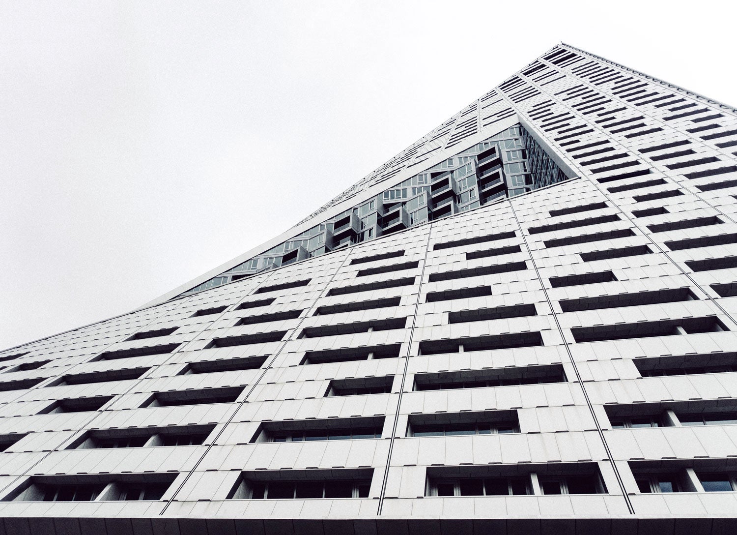 picture alternative text