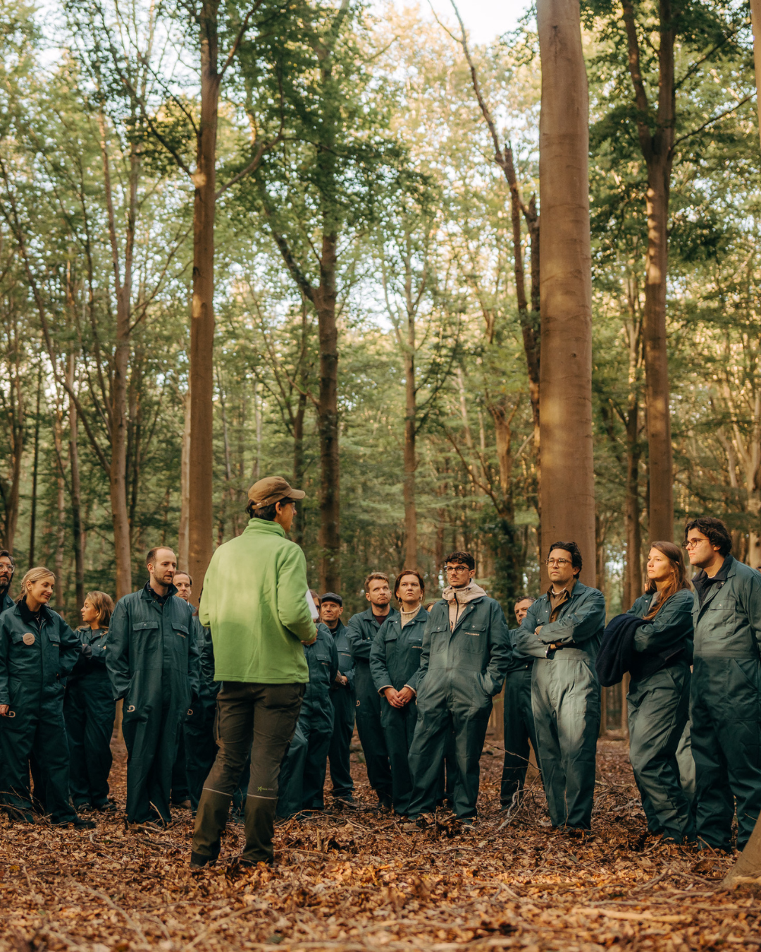 picture alternative text