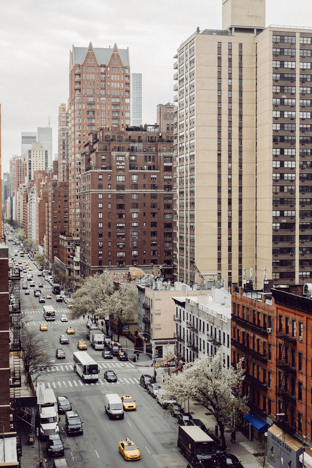 picture alternative text