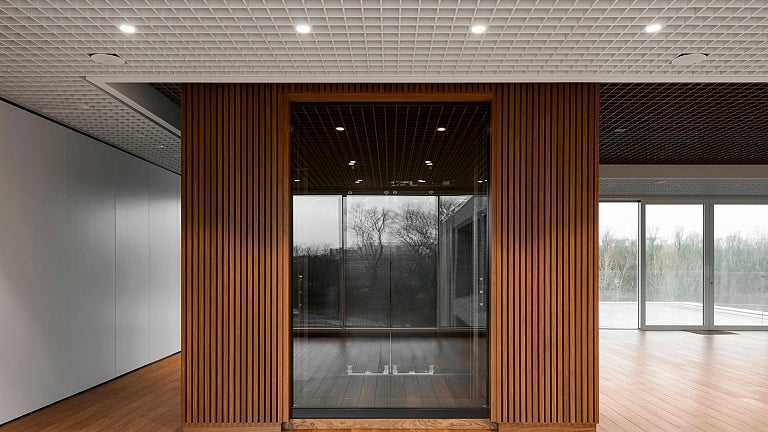 picture alternative text