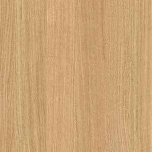 picture alternative text