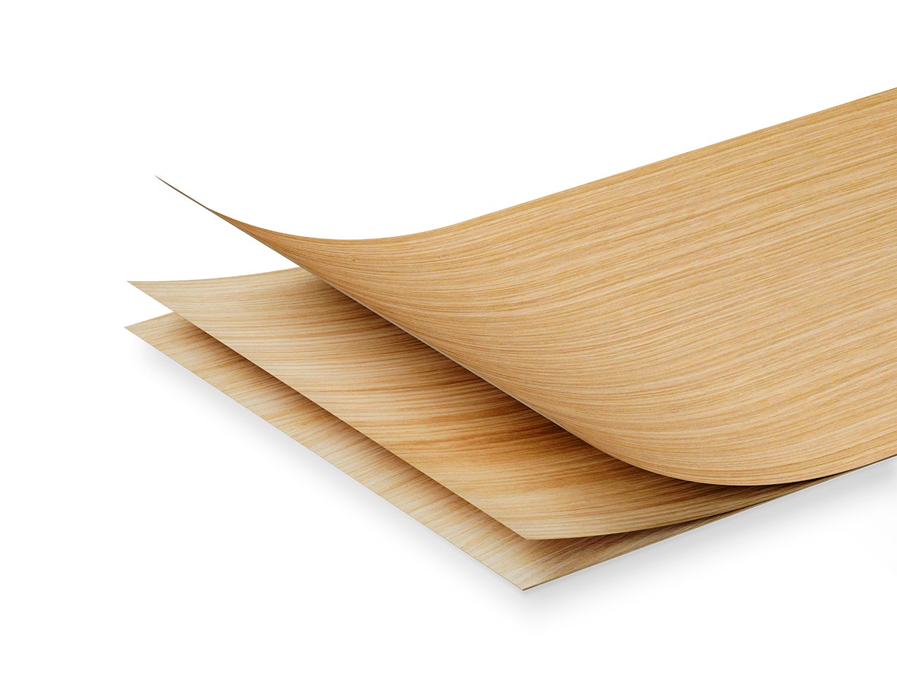 picture alternative text