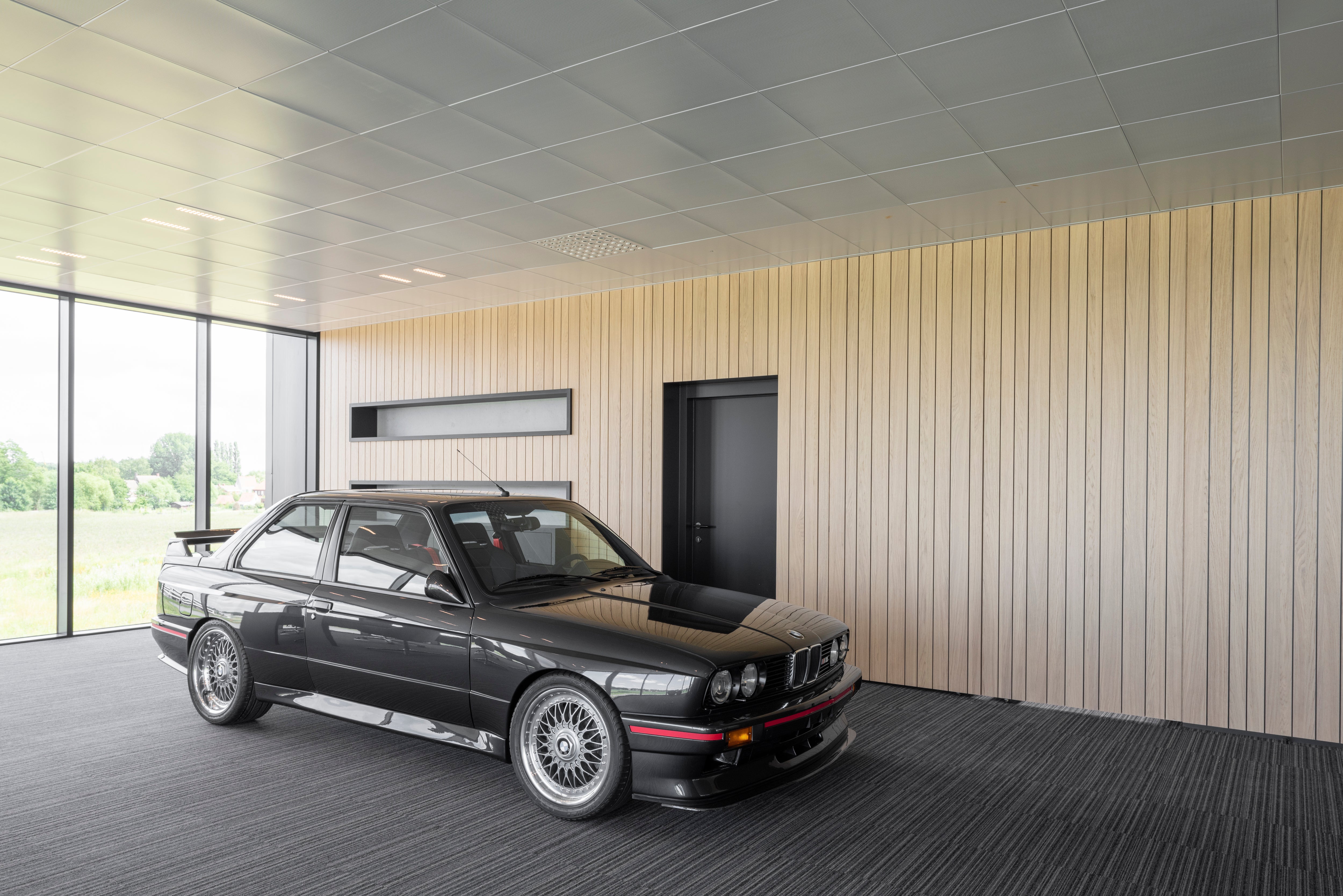 picture alternative text