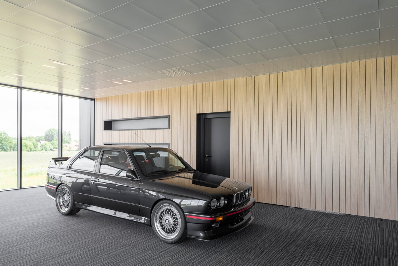 picture alternative text