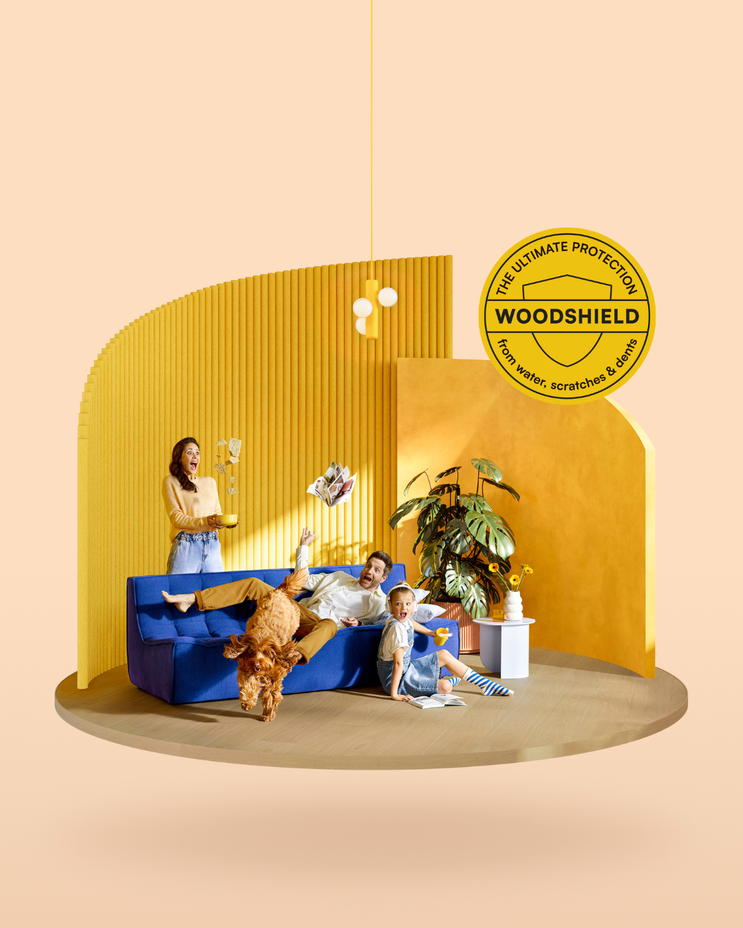 picture alternative text