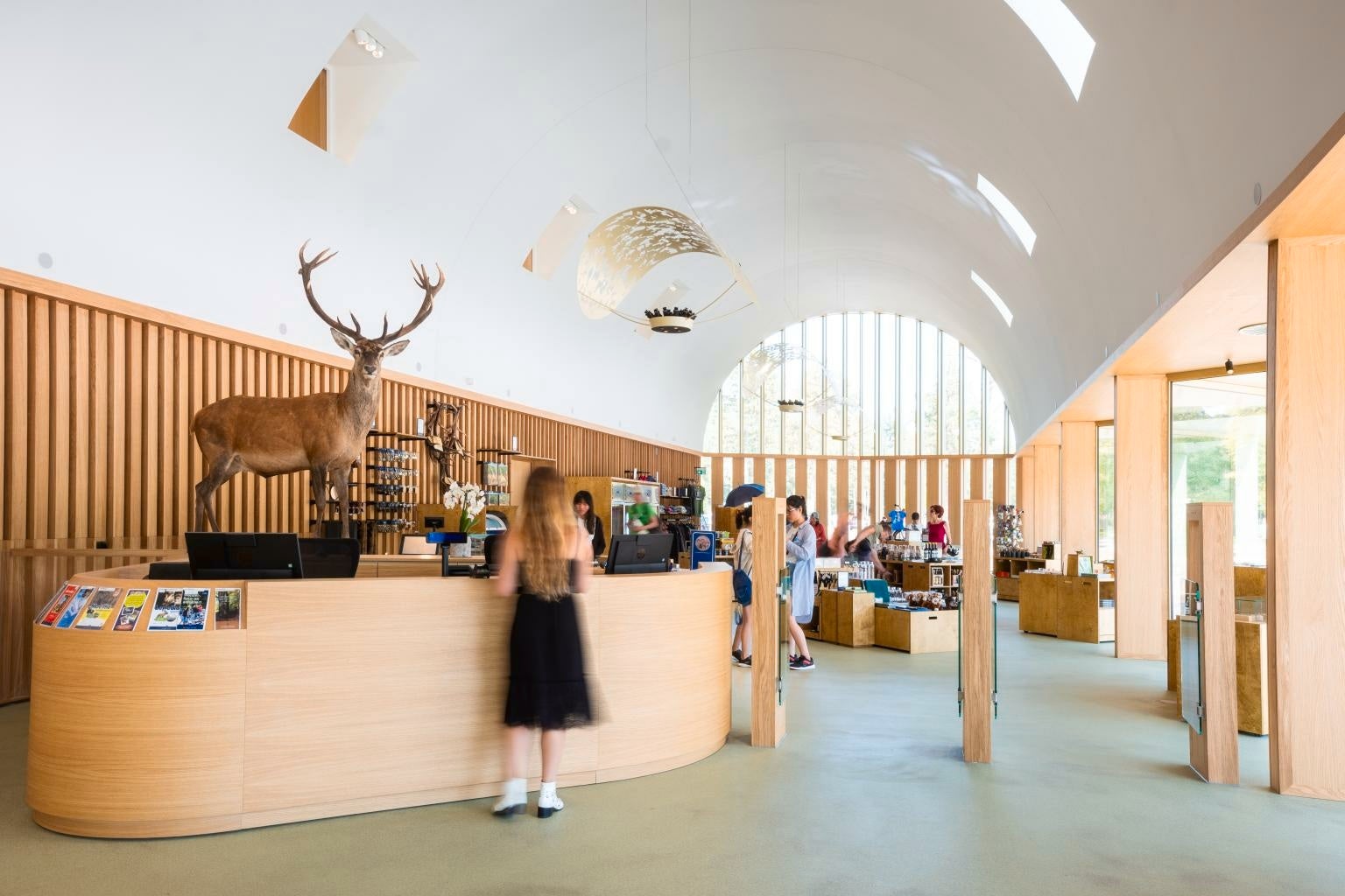 picture alternative text