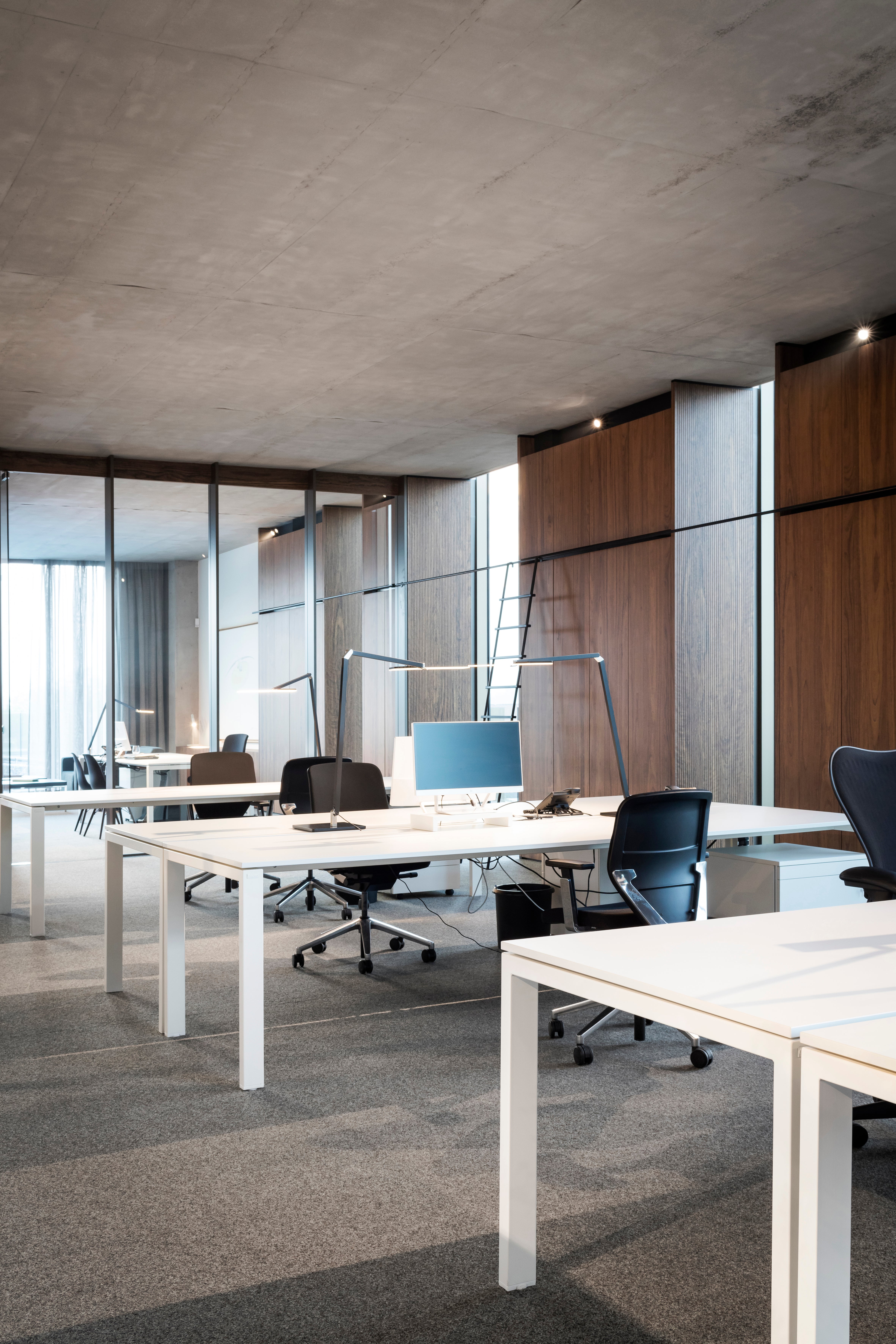 picture alternative text