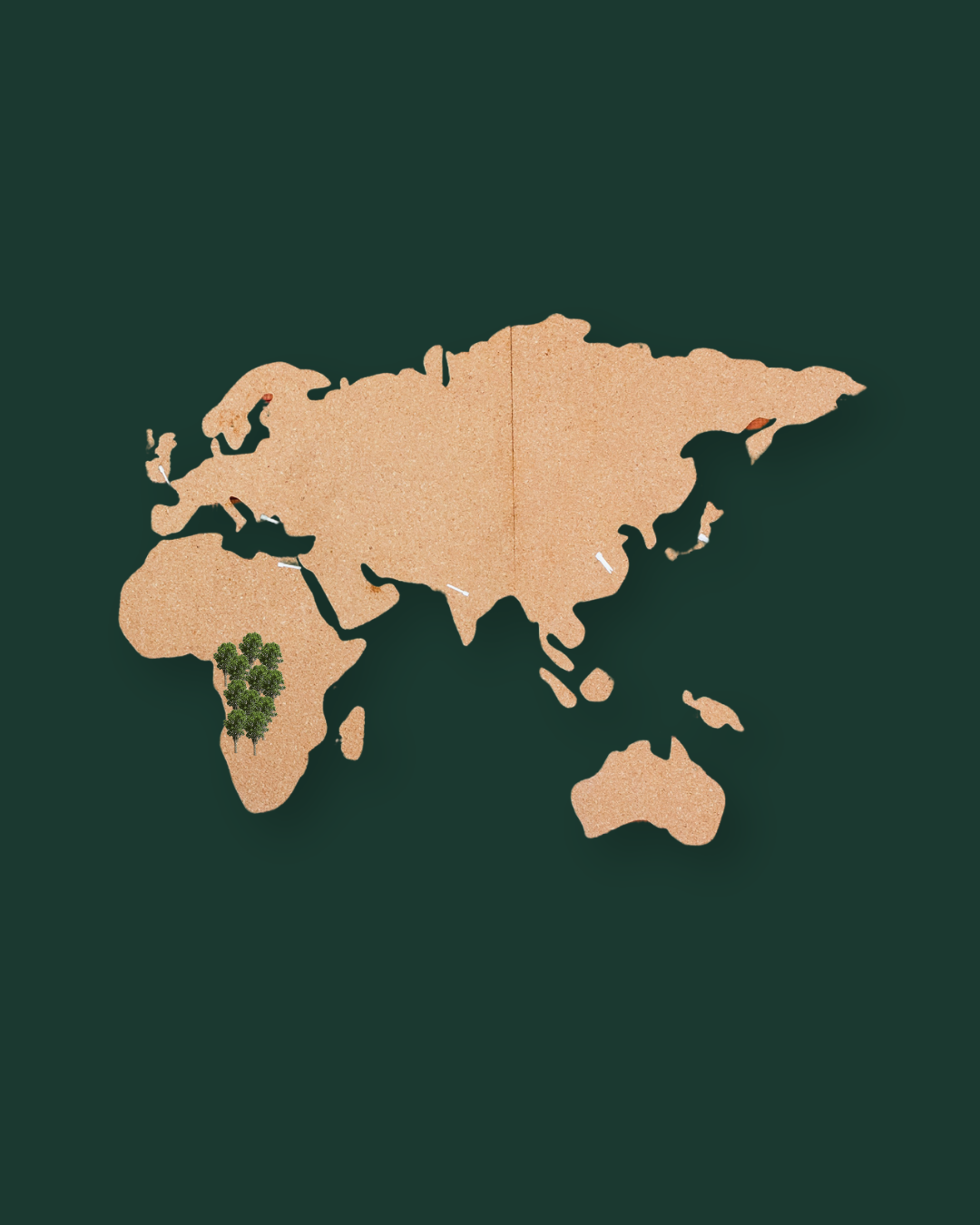 World map showcasing African Walnut growth places.