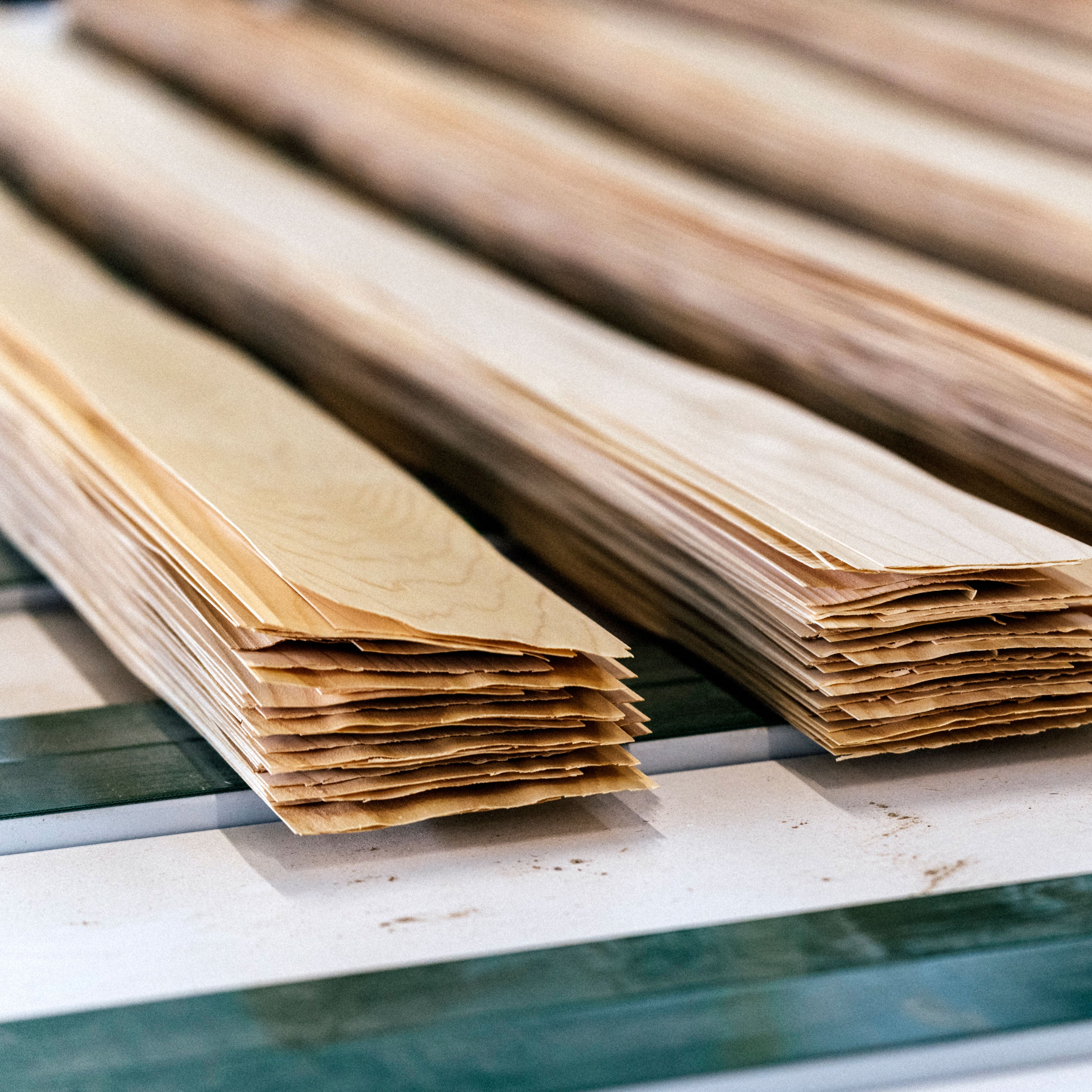 picture alternative text