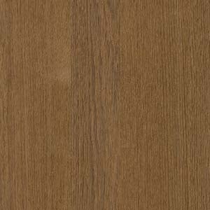 picture alternative text