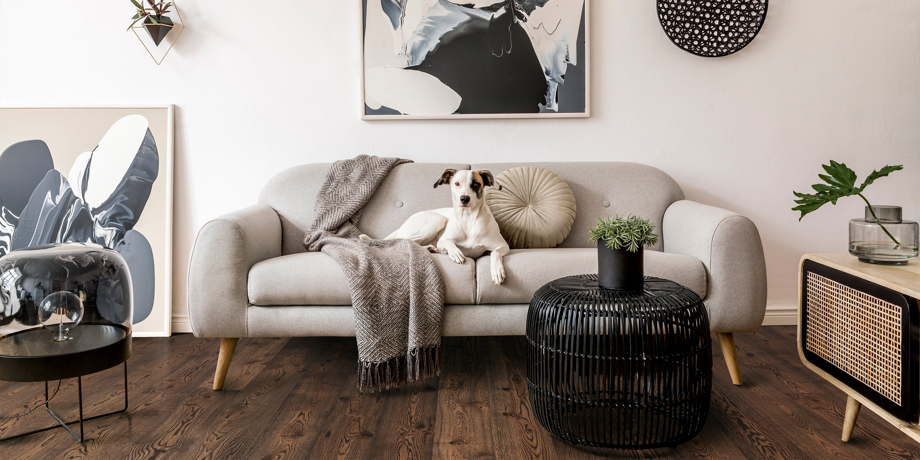 picture alternative text