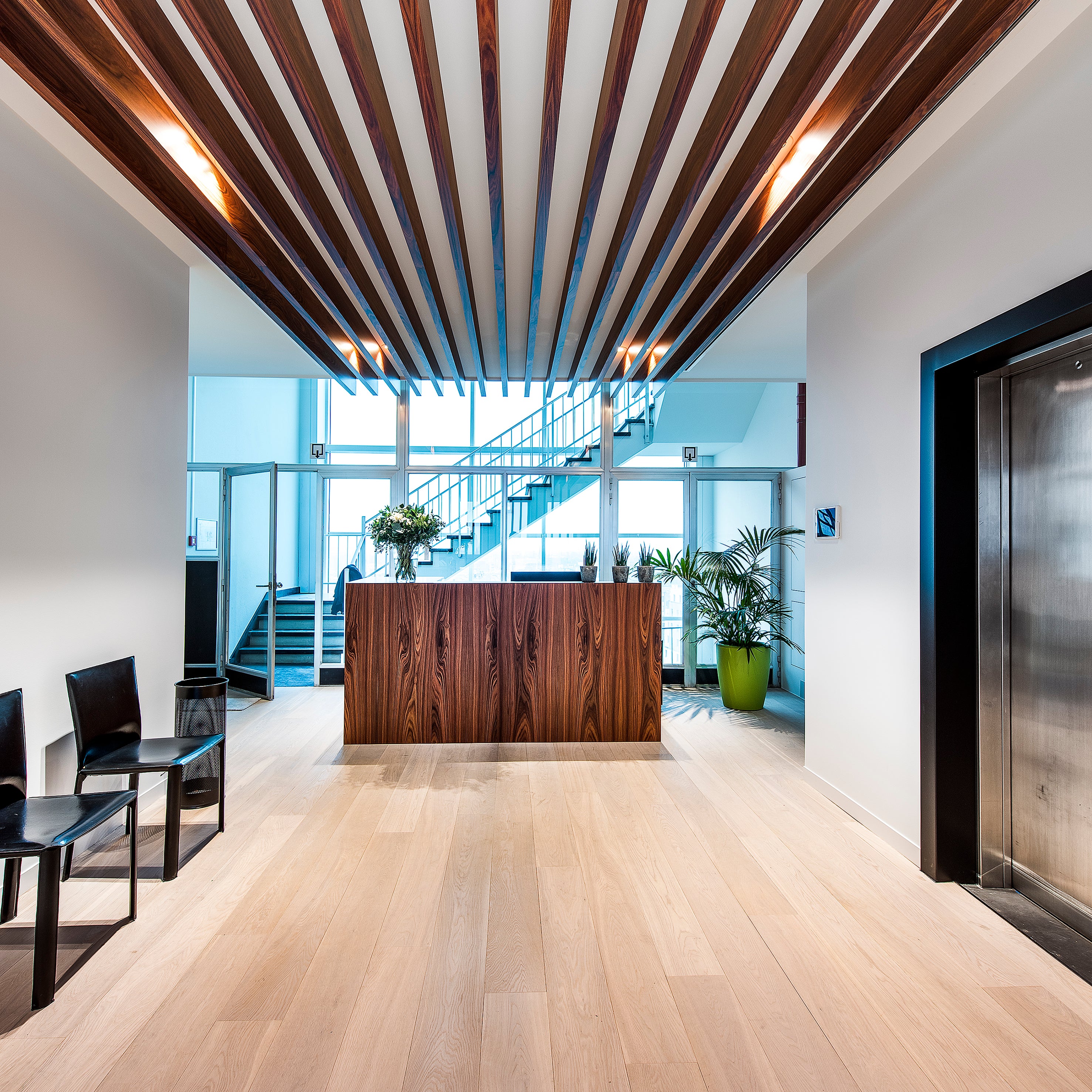 picture alternative text