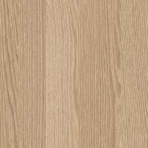 picture alternative text