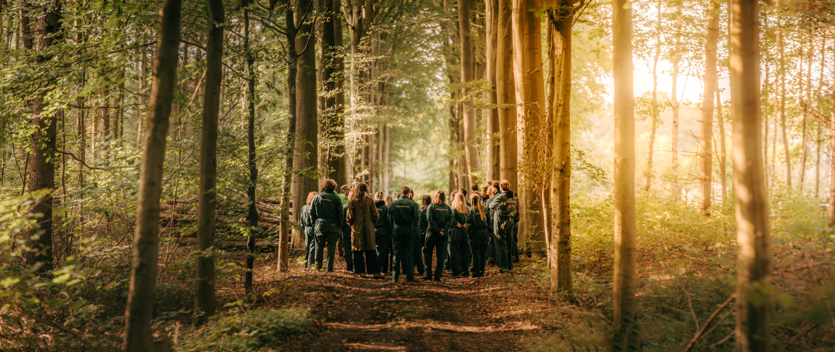 picture alternative text