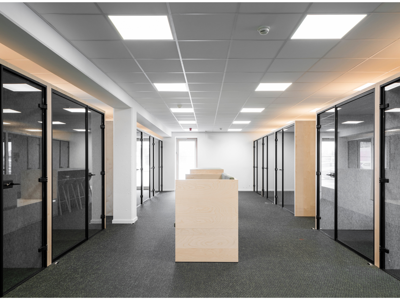 picture alternative text