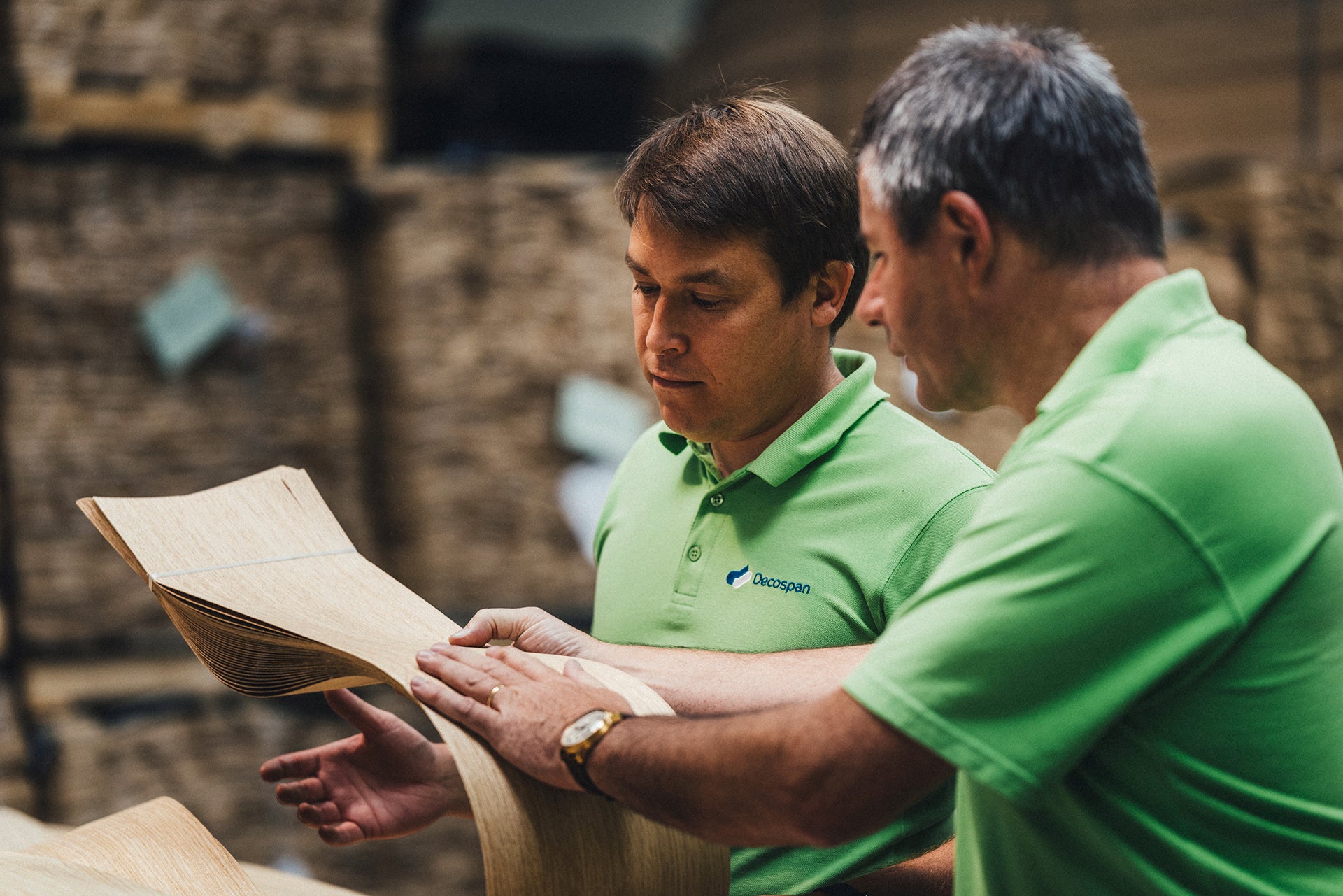 picture alternative text