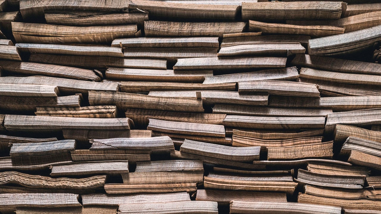 picture alternative text