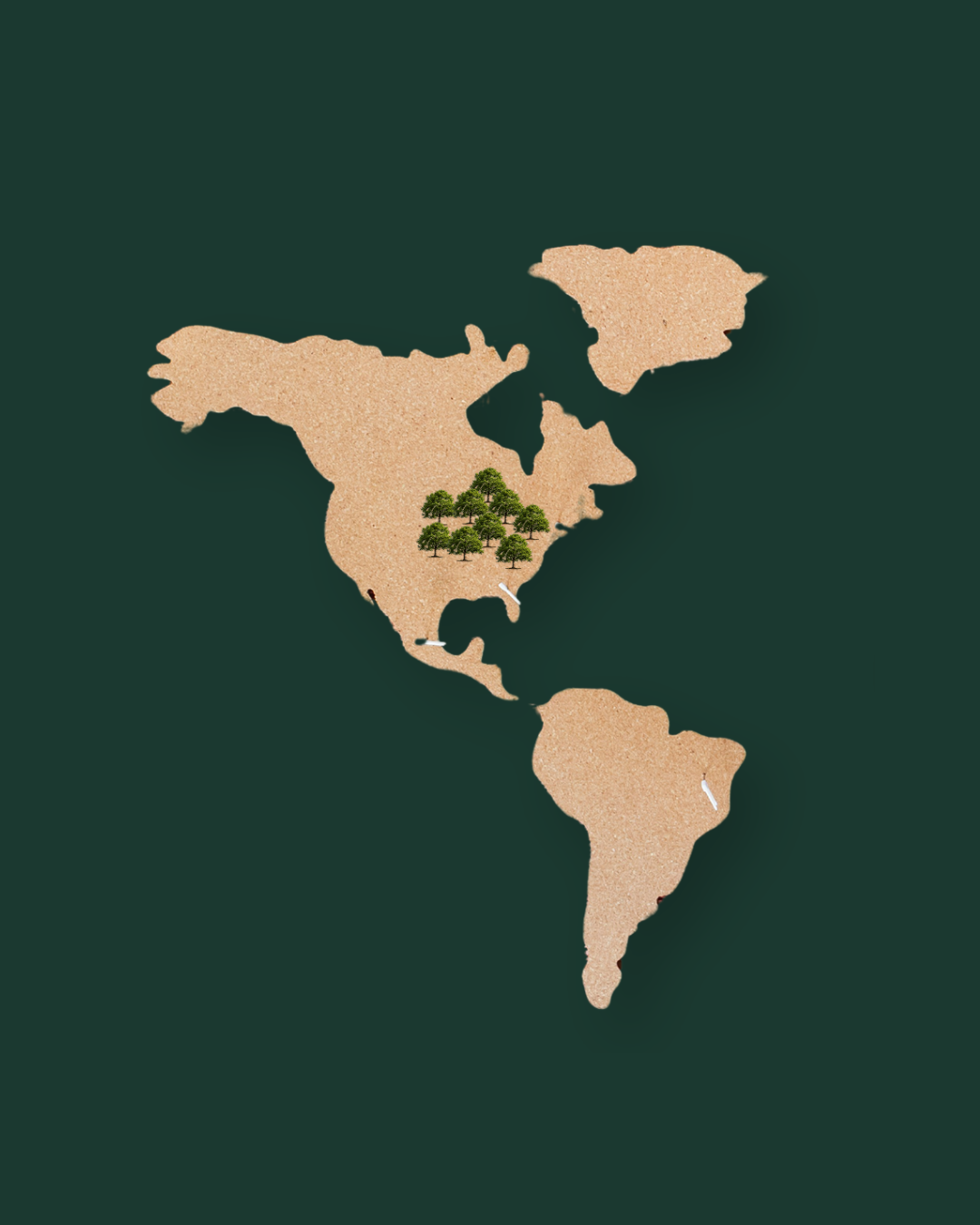World map showcasing the growth places of American walnut.