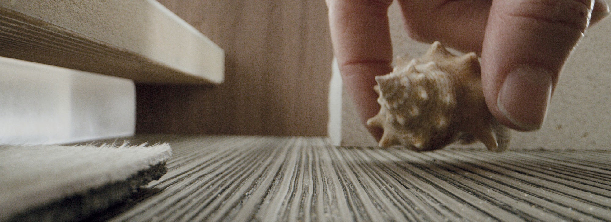 picture alternative text