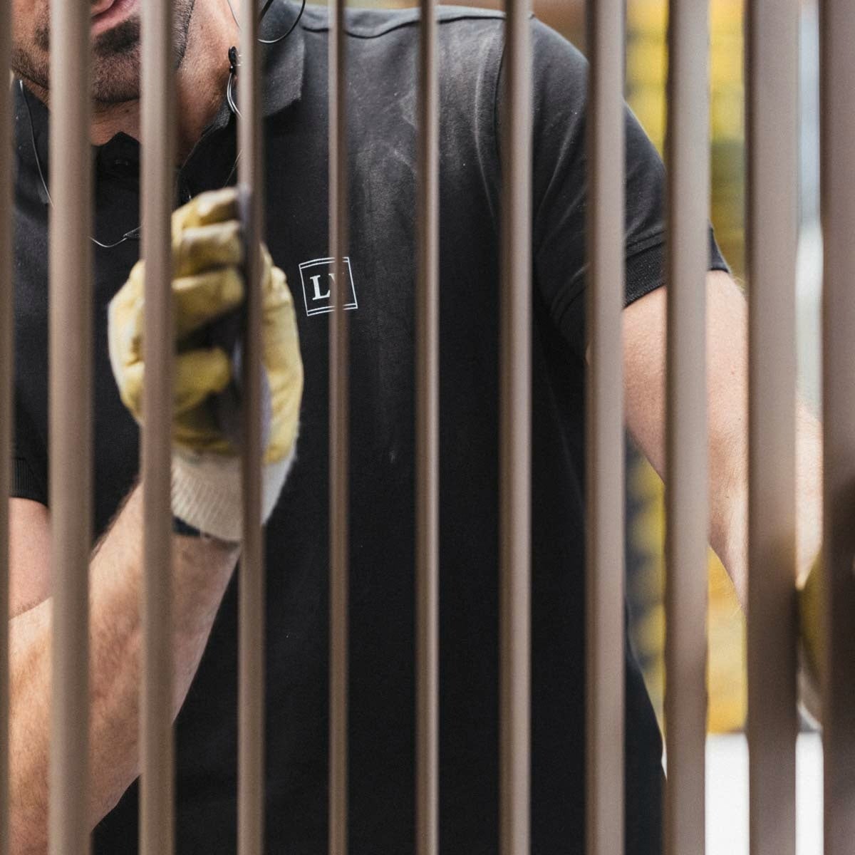 picture alternative text