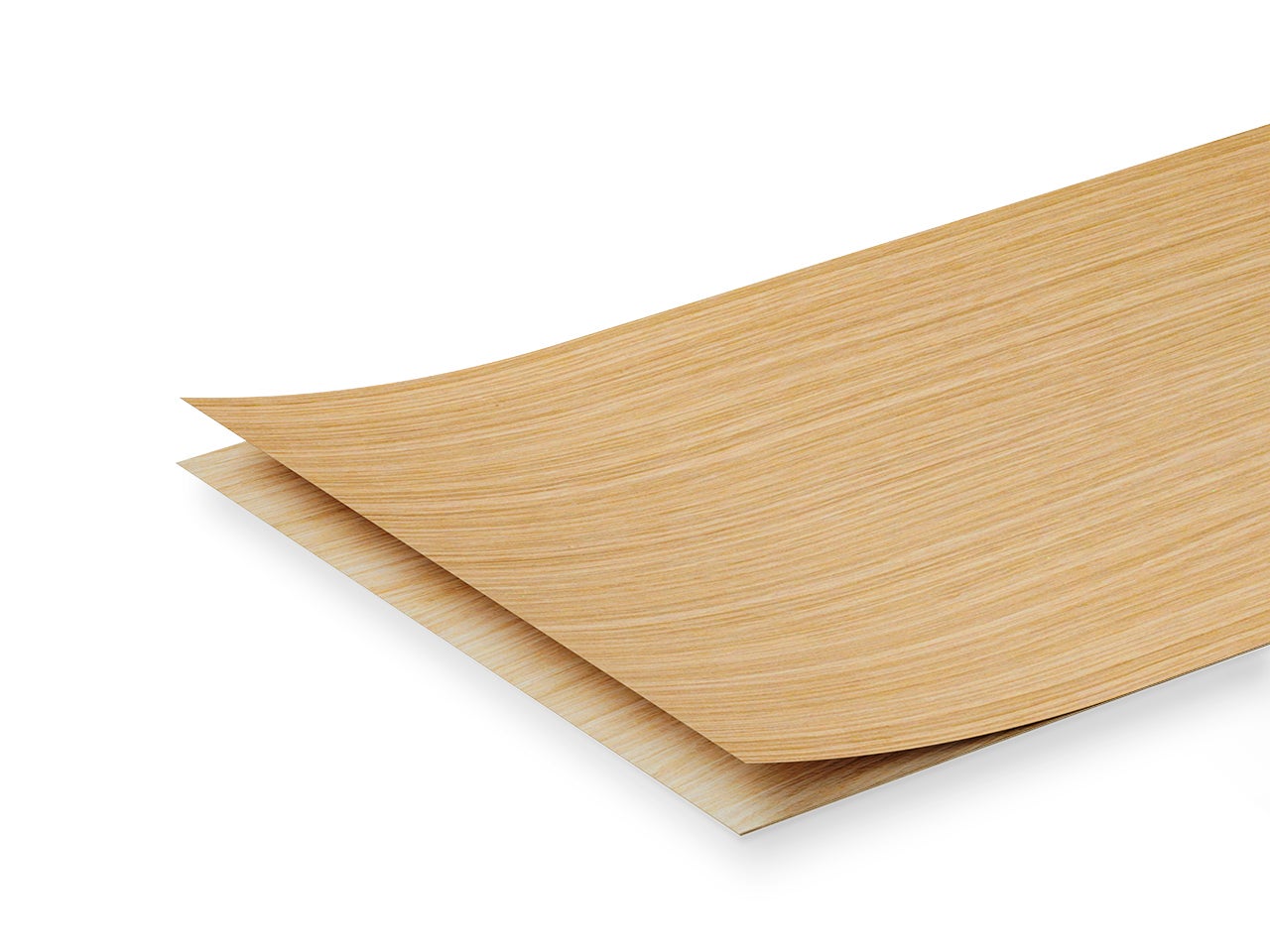 picture alternative text