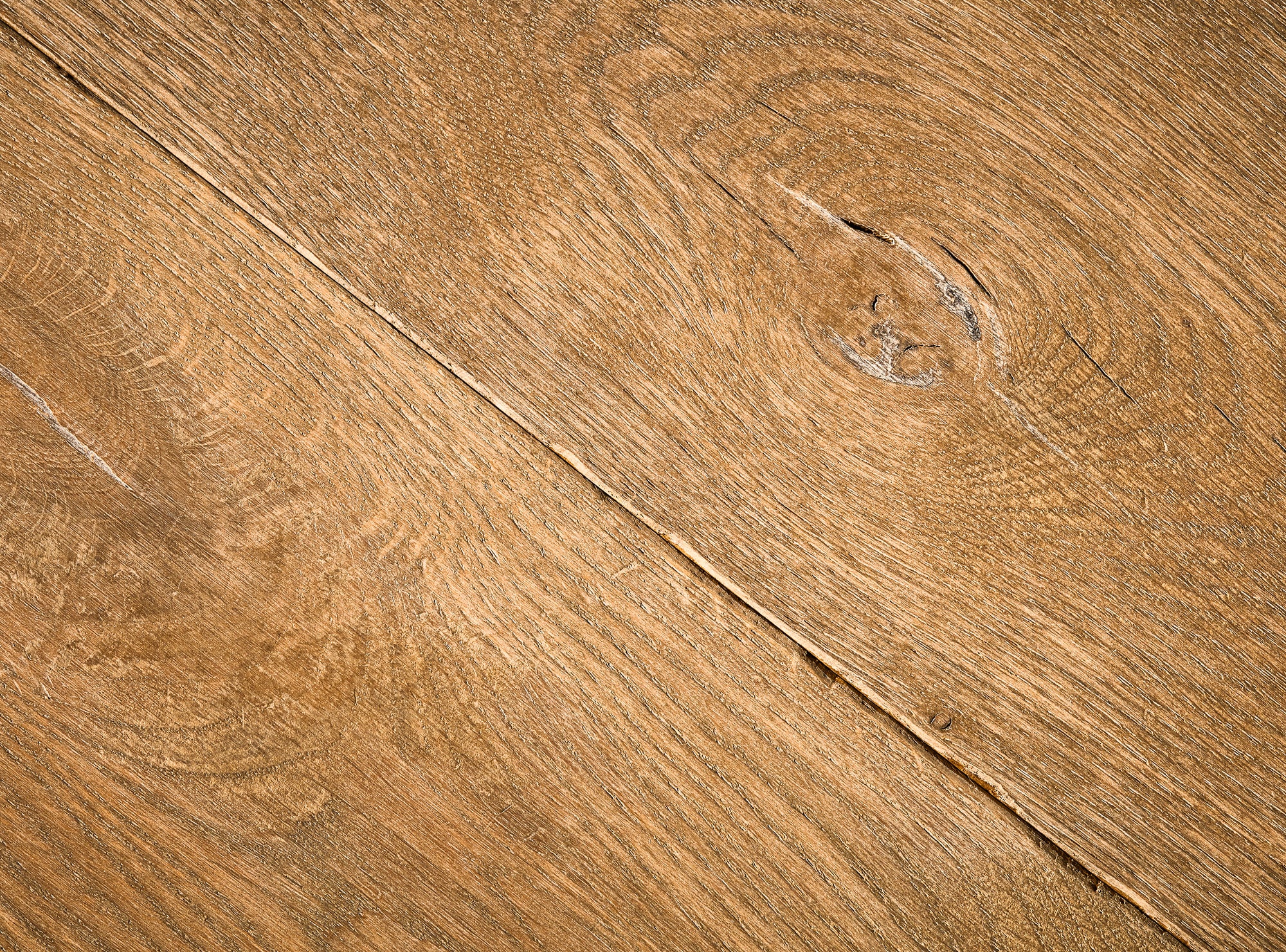 picture alternative text