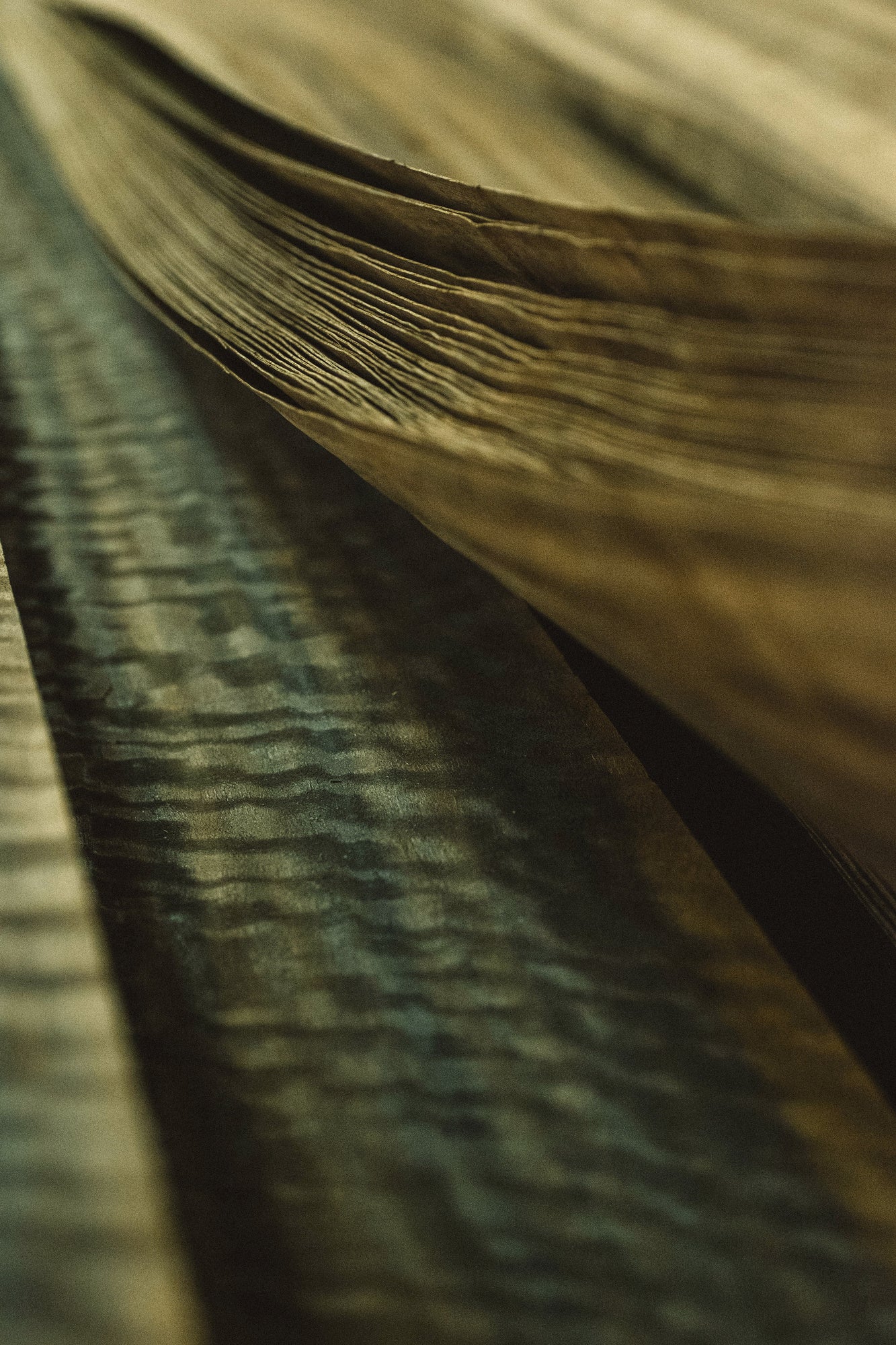 veneer production - Decospan production - floor production - Decospan - veneer