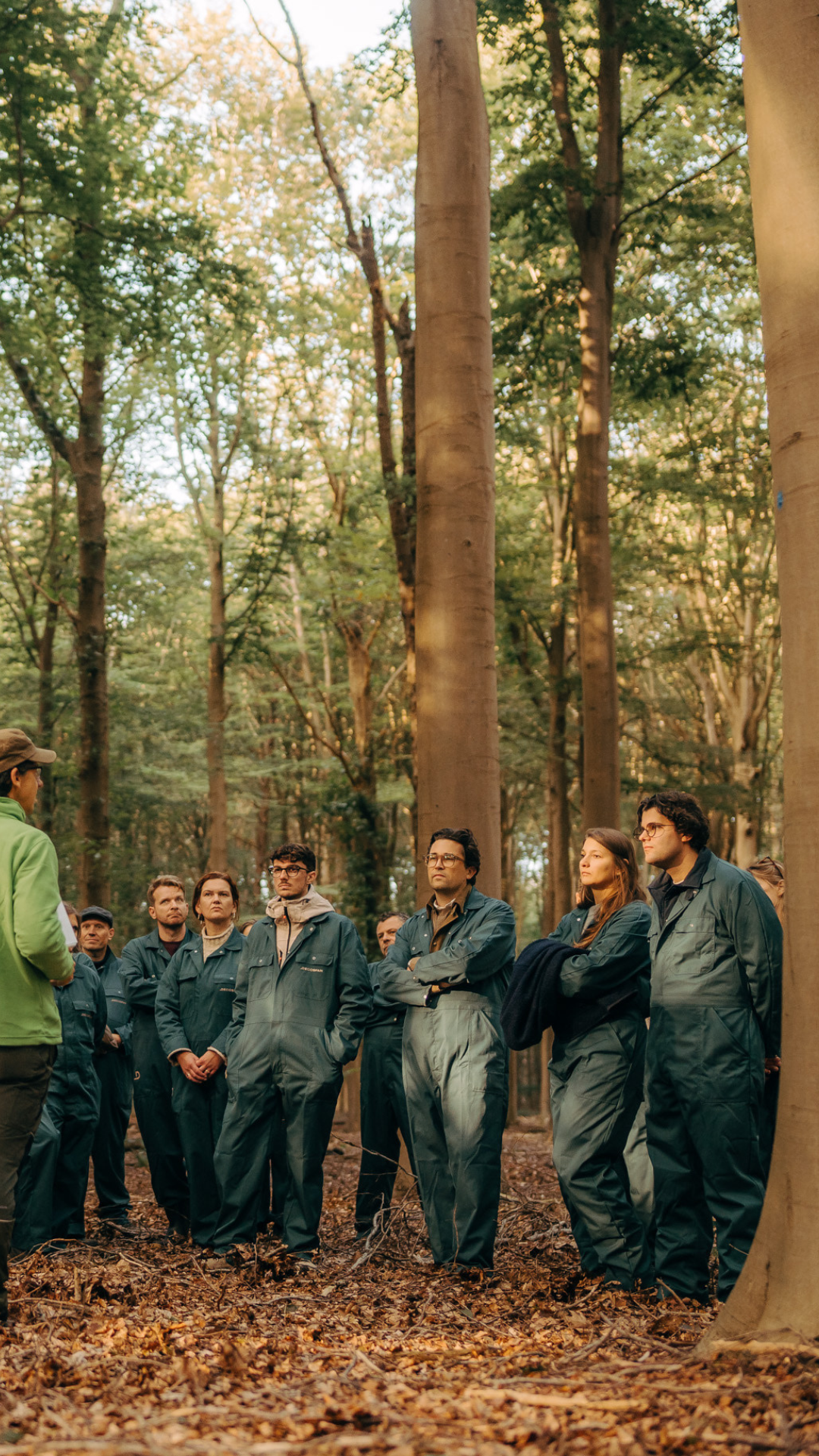 picture alternative text