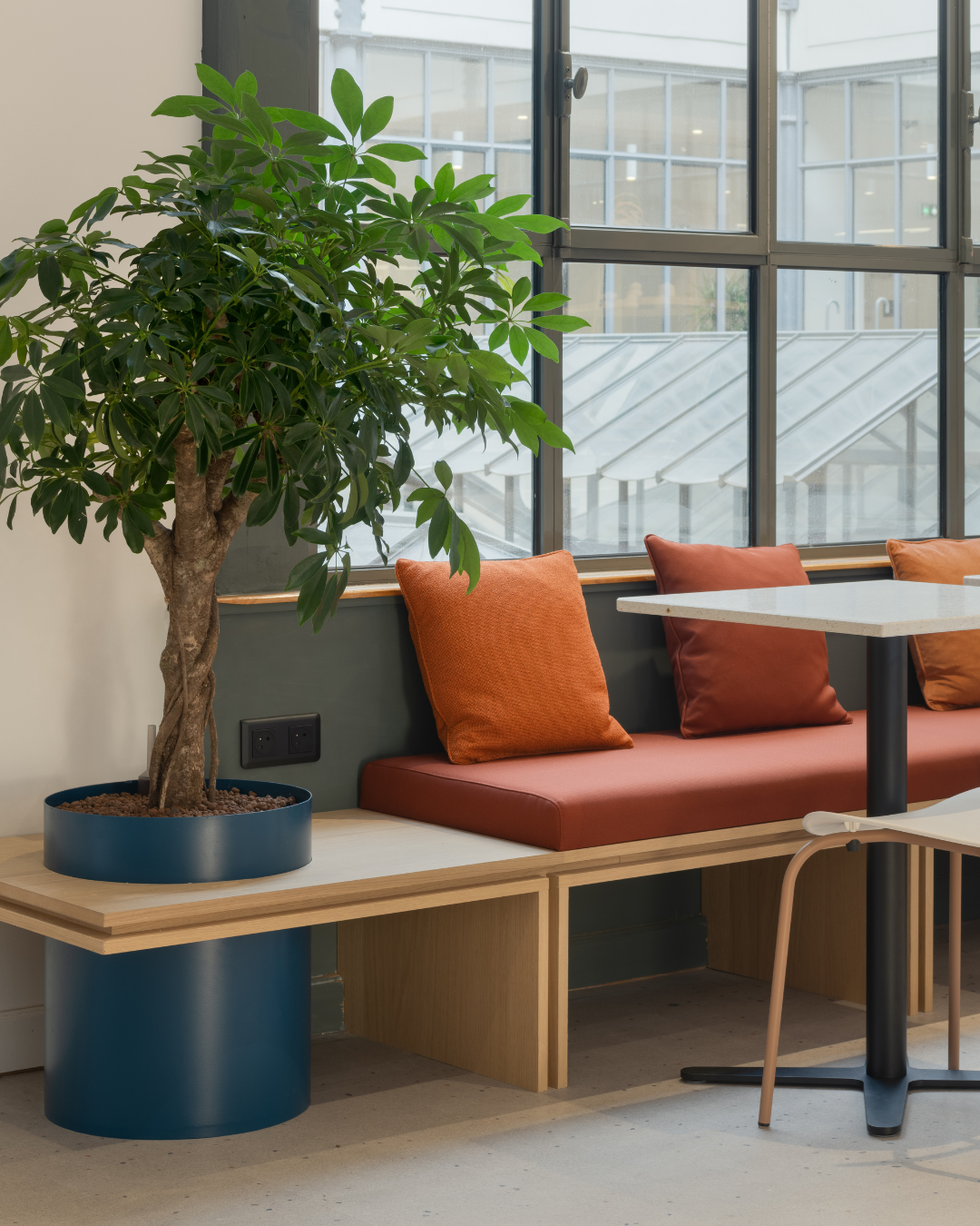 picture alternative text