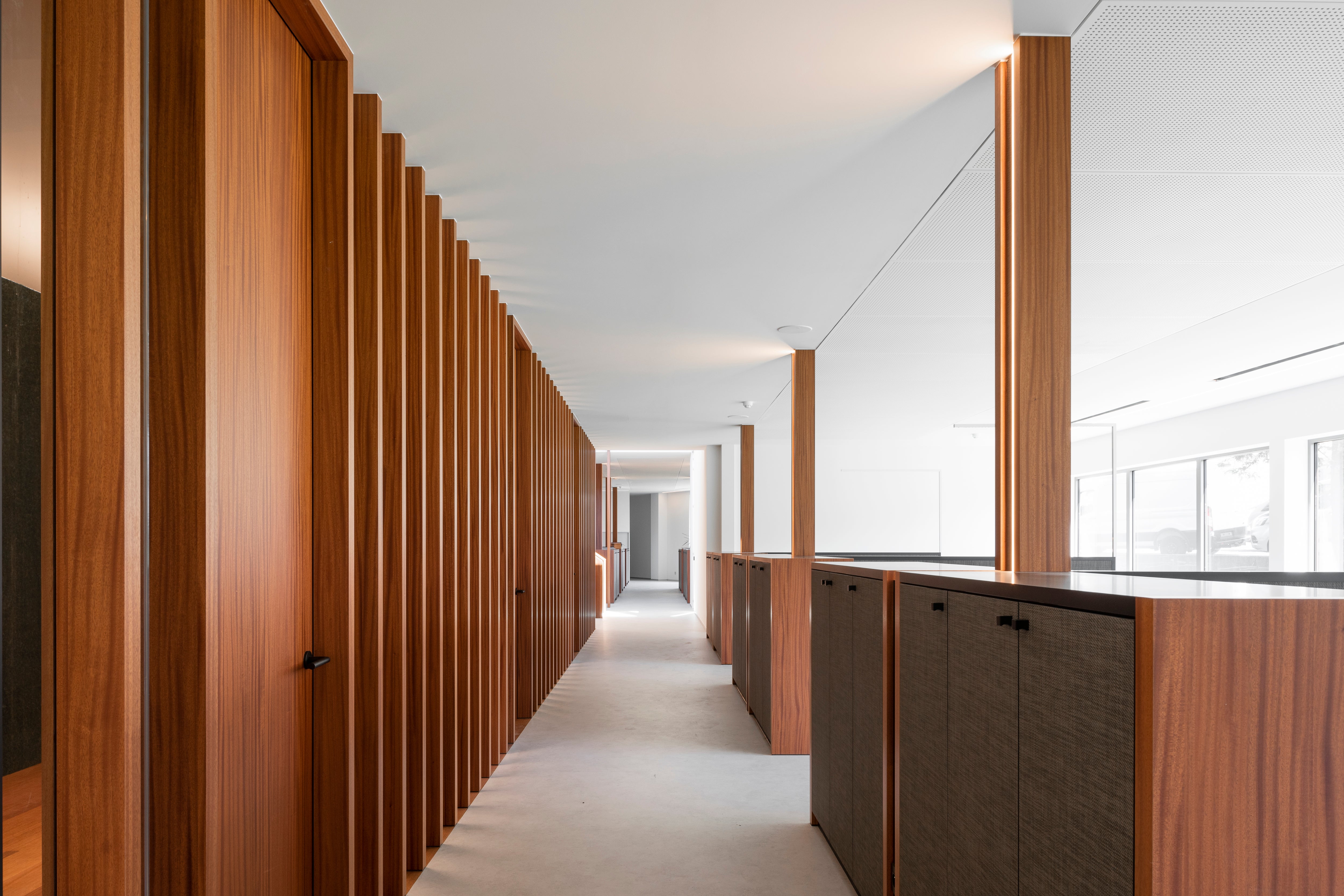 picture alternative text