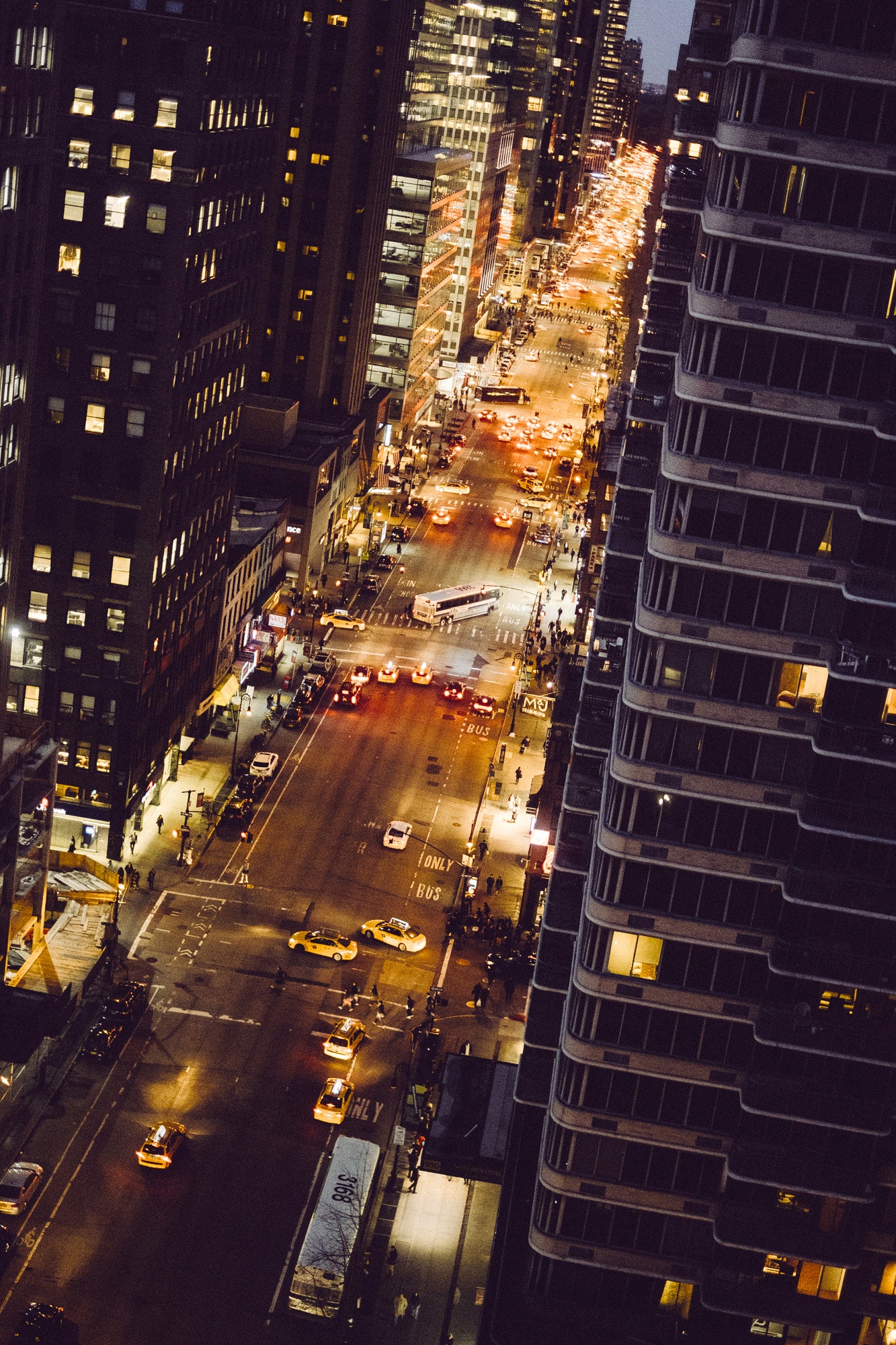 picture alternative text